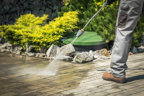 Best Animal Enclosure Cleaning  in Jenks, OK